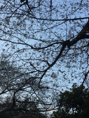 2016-03-24-16-39-10
