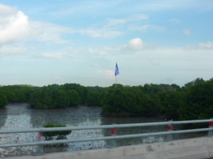 P1240726