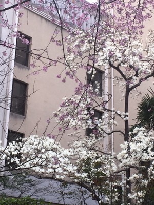 2015-03-21-16-33-39