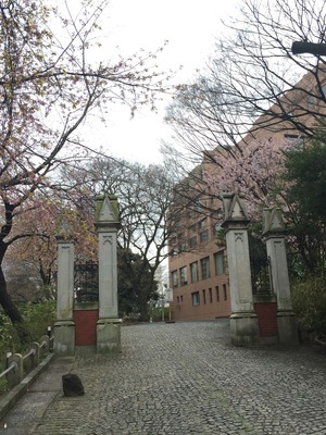 2016-03-24-12-49-56