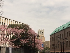 2015-03-21-12-48-00