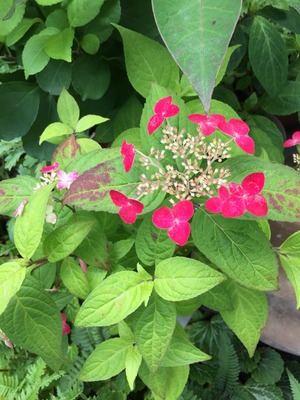 2015-06-06-11-30-17