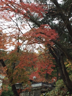 2015-11-14-09-26-05