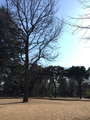 2016-01-28-13-15-37