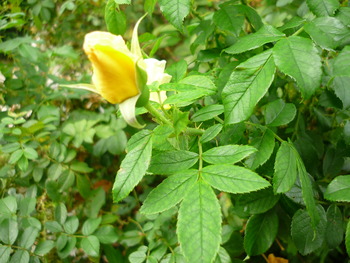 P1080708