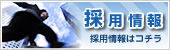 採用情報