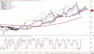 wti