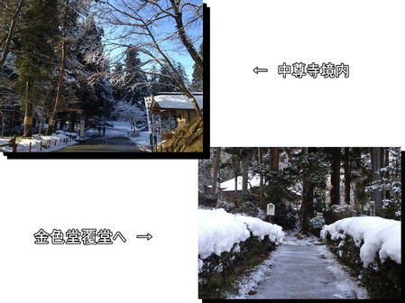 ��º������ȶ⿧ƲʤƲ���κ�ƻ