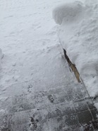 2017-01-15-10-52-10