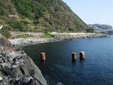 今週の富戸