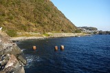 ちょっとザワザワの富戸