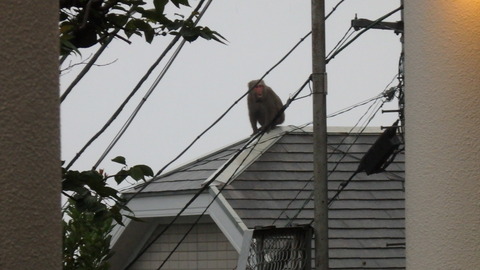 熱海旅行 2017年8月11日 (28)