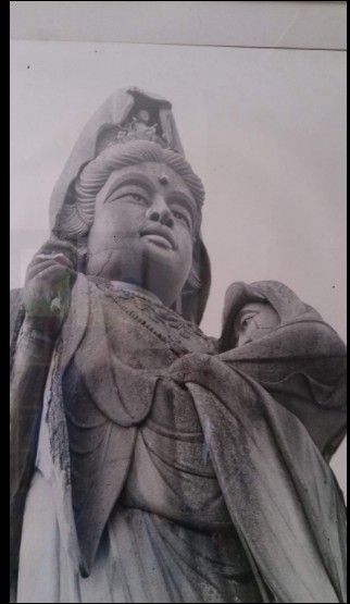 2017y12m09d_050549148