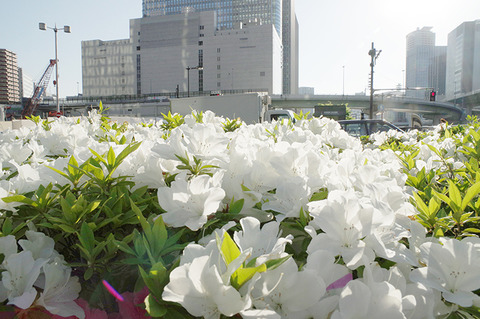 photo0000-2081