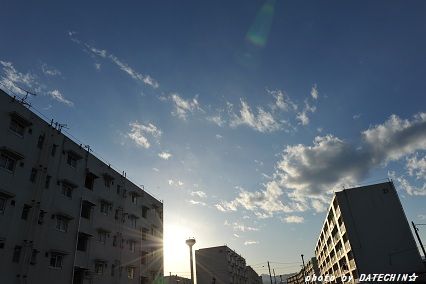 DSC_10421
