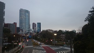 DSC_4205