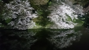 DSC_4285