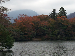 20121031_143931
