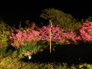 resize0139