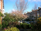 london spring1
