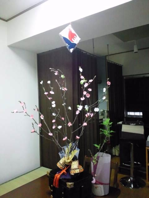 揚げハタ