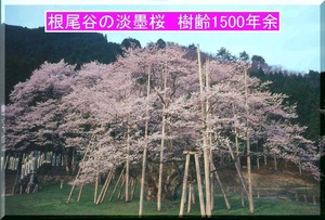 20110301