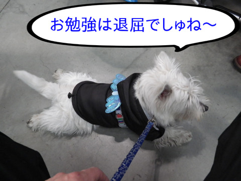 BlogPaint