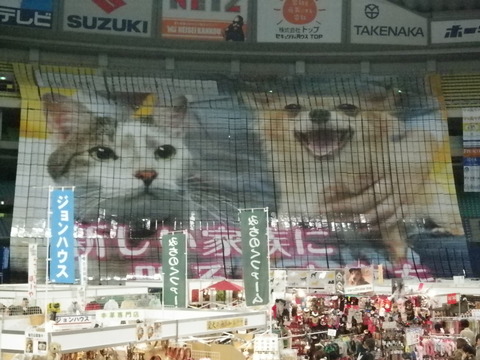 IMGP2121