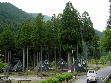 P1100046