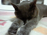 cc4cafa6.jpg