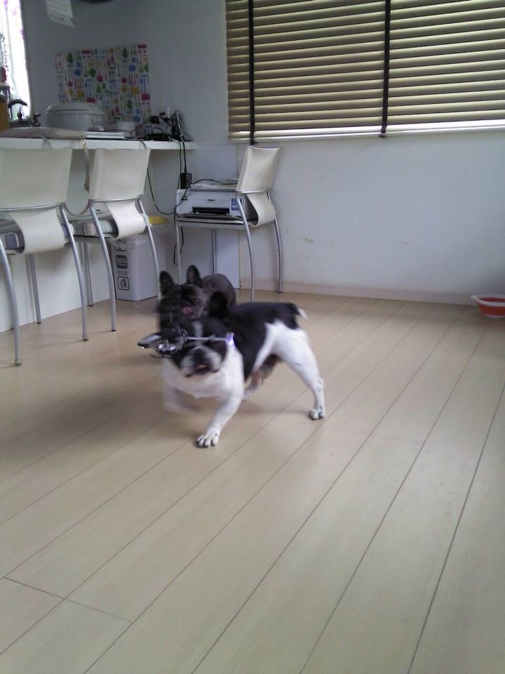 画像1