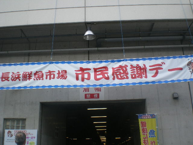IMGP6261