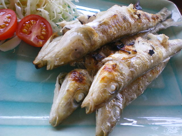 IMGP5680