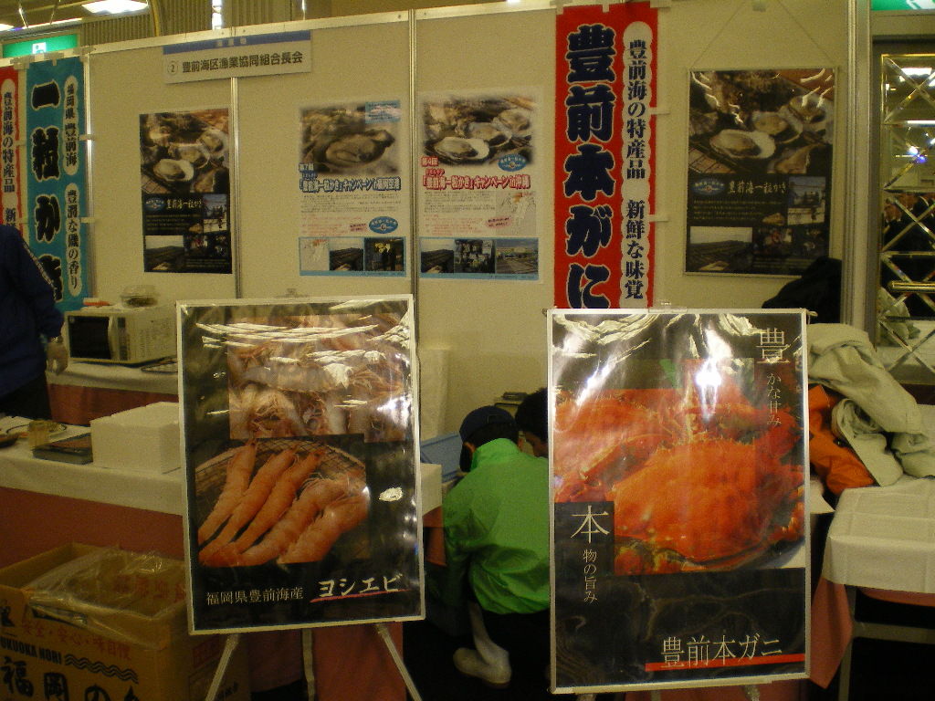 IMGP6564
