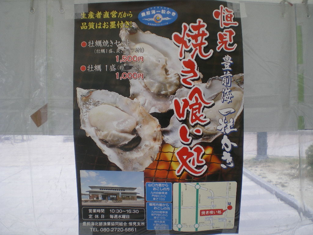 IMGP6505