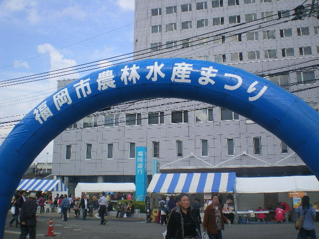 IMGP6266