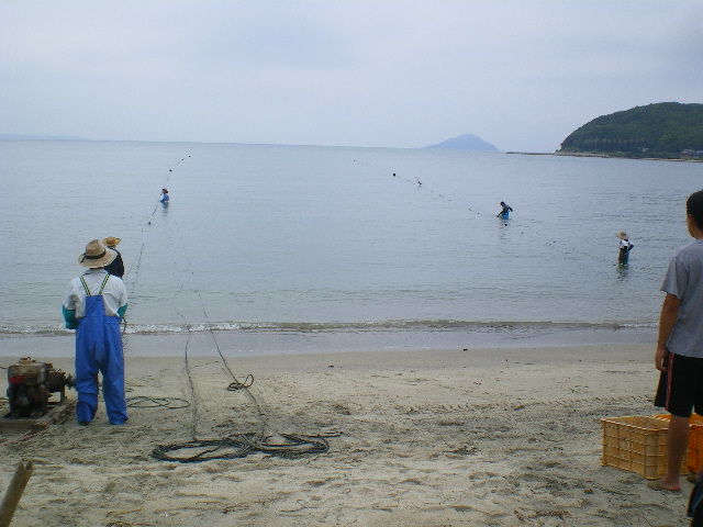 IMGP5700