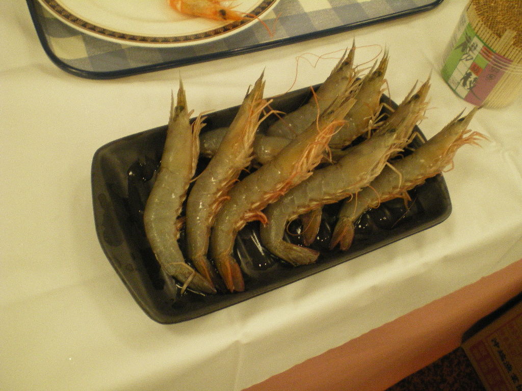 IMGP6562