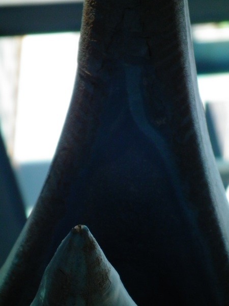 DSCF0034