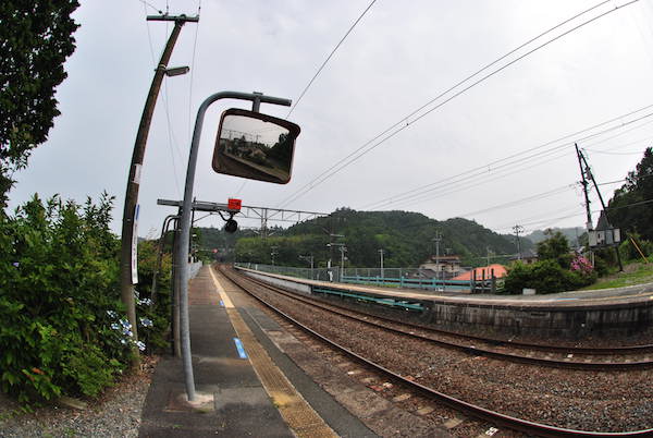 suetsugi14902