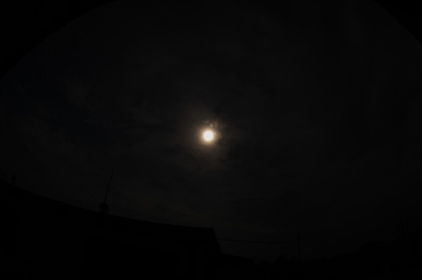 73130198.jpg