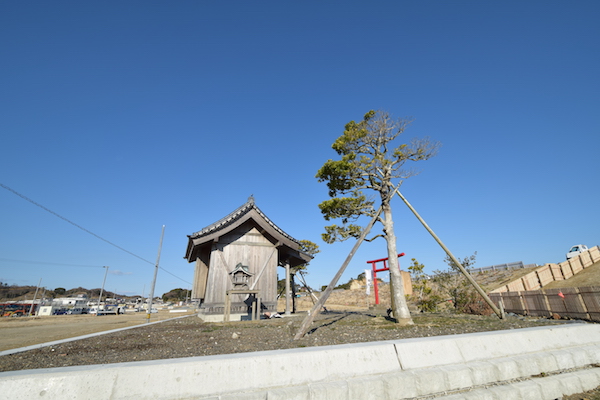 hisano128501