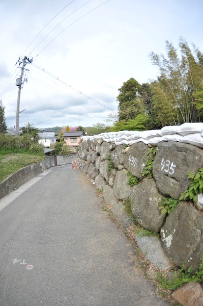 iwaki5503