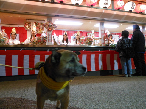 DSCN0990