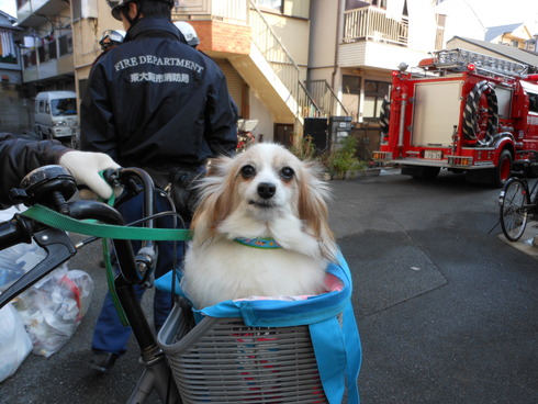 DSCN0911