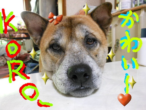 �餯����