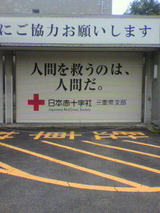 70d8264d.jpg
