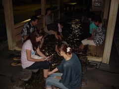 DSC02886-1