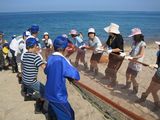 IMG_0623_R