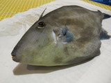 DSCN0134